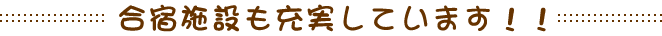 h{݂[Ă܂I